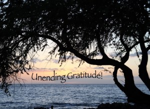 thank-you_gratitude_maui