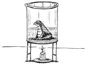 frog-heat-beaker