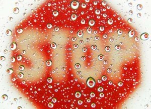 Stop sign rain drops