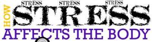 stress affects the body