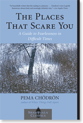 The Places that Scare You cover