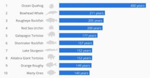 LongestAnimals_web_480