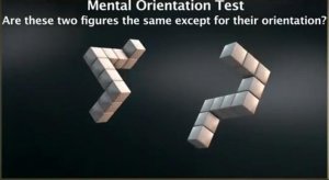 spatial orientation test