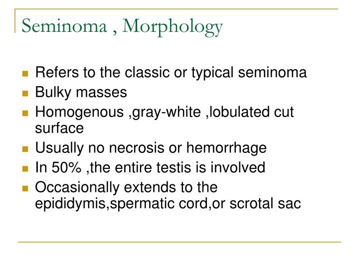 seminoma-morphology-n