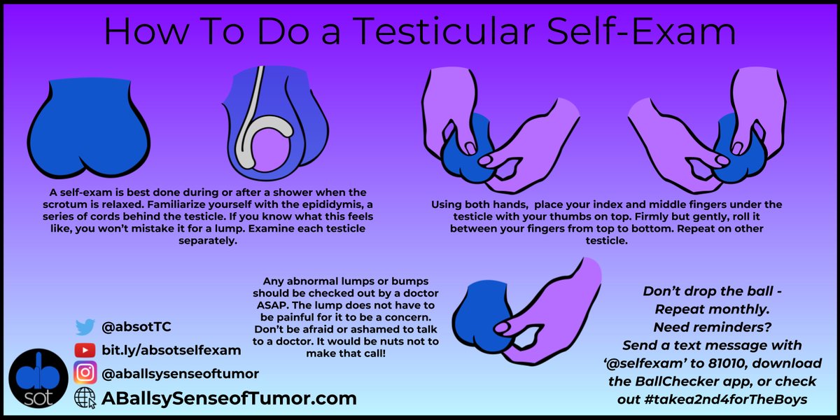testicle self exam